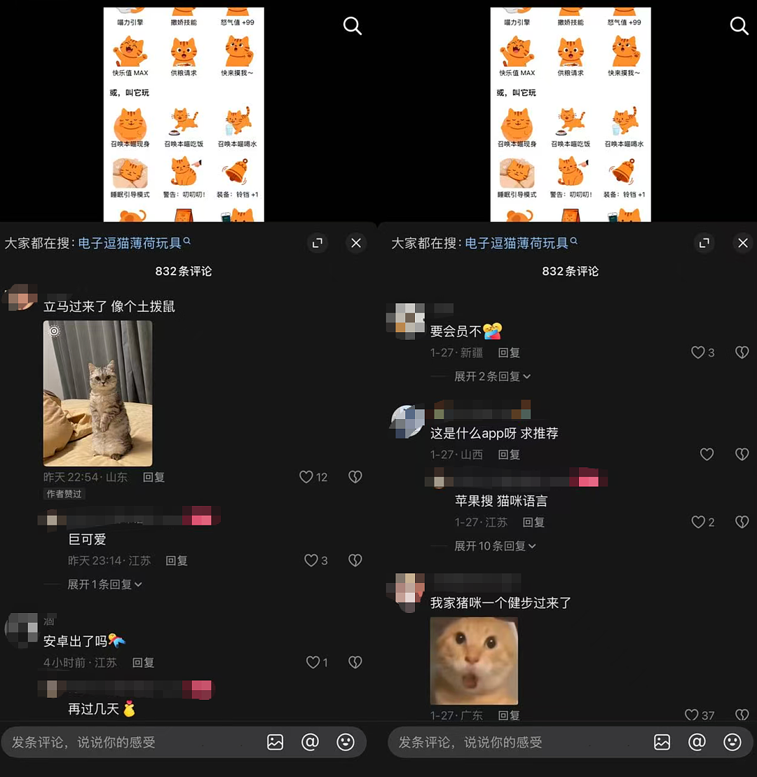 “猫咪召唤器”登顶付费榜,对话开发者:团队仅两人,成本1000多,用户翻了500倍(视频/组图) - 3