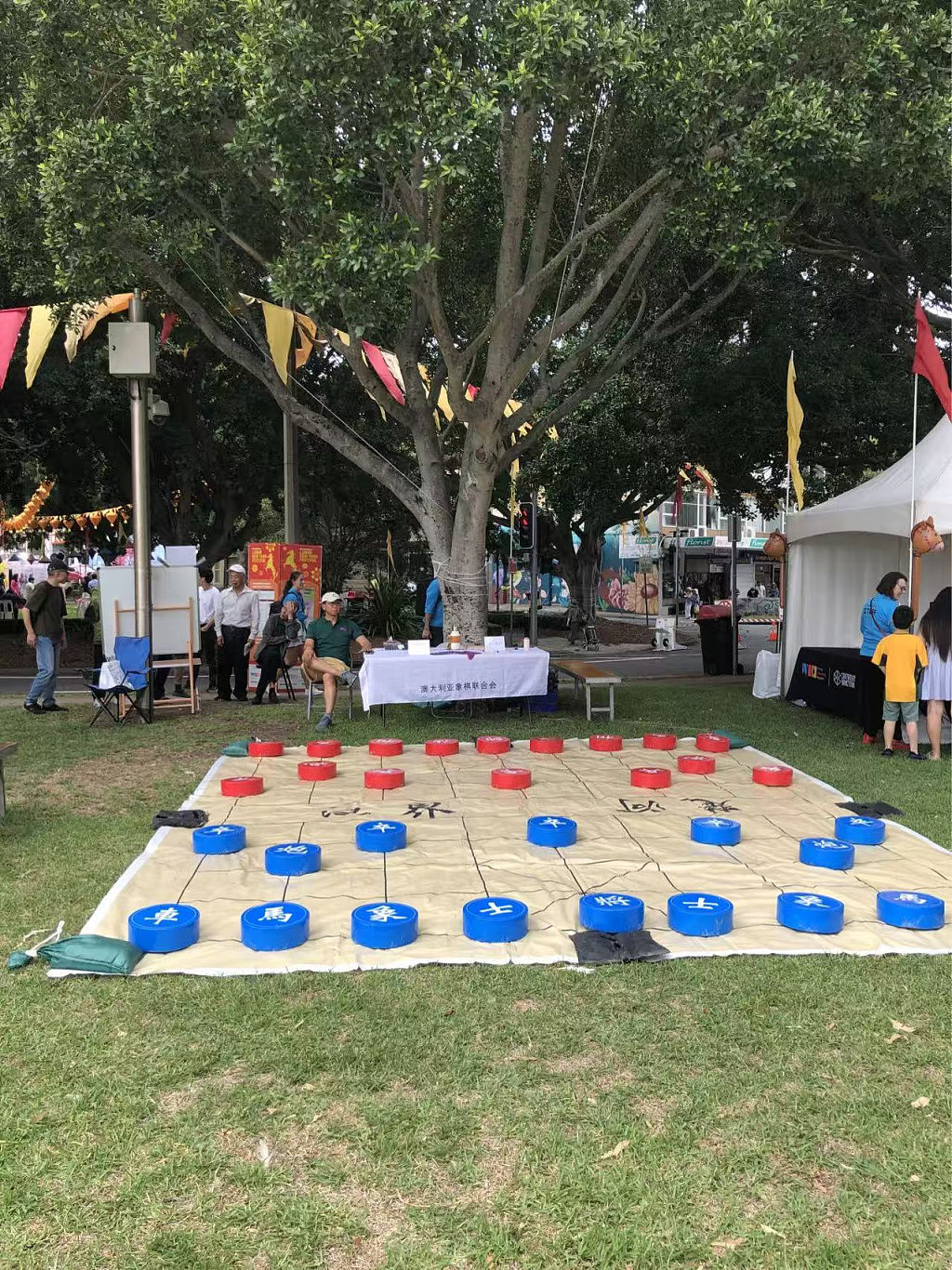 澳洲象棋联合会摆擂台迎新春，有奖残局破解吸睛游人争登台（组图） - 8