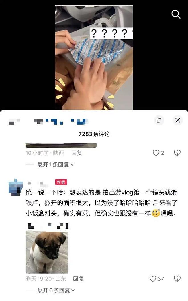 飞机餐仅一根青菜配米饭？女子吐槽贴引爆热议，评论区吵起来了（组图） - 5