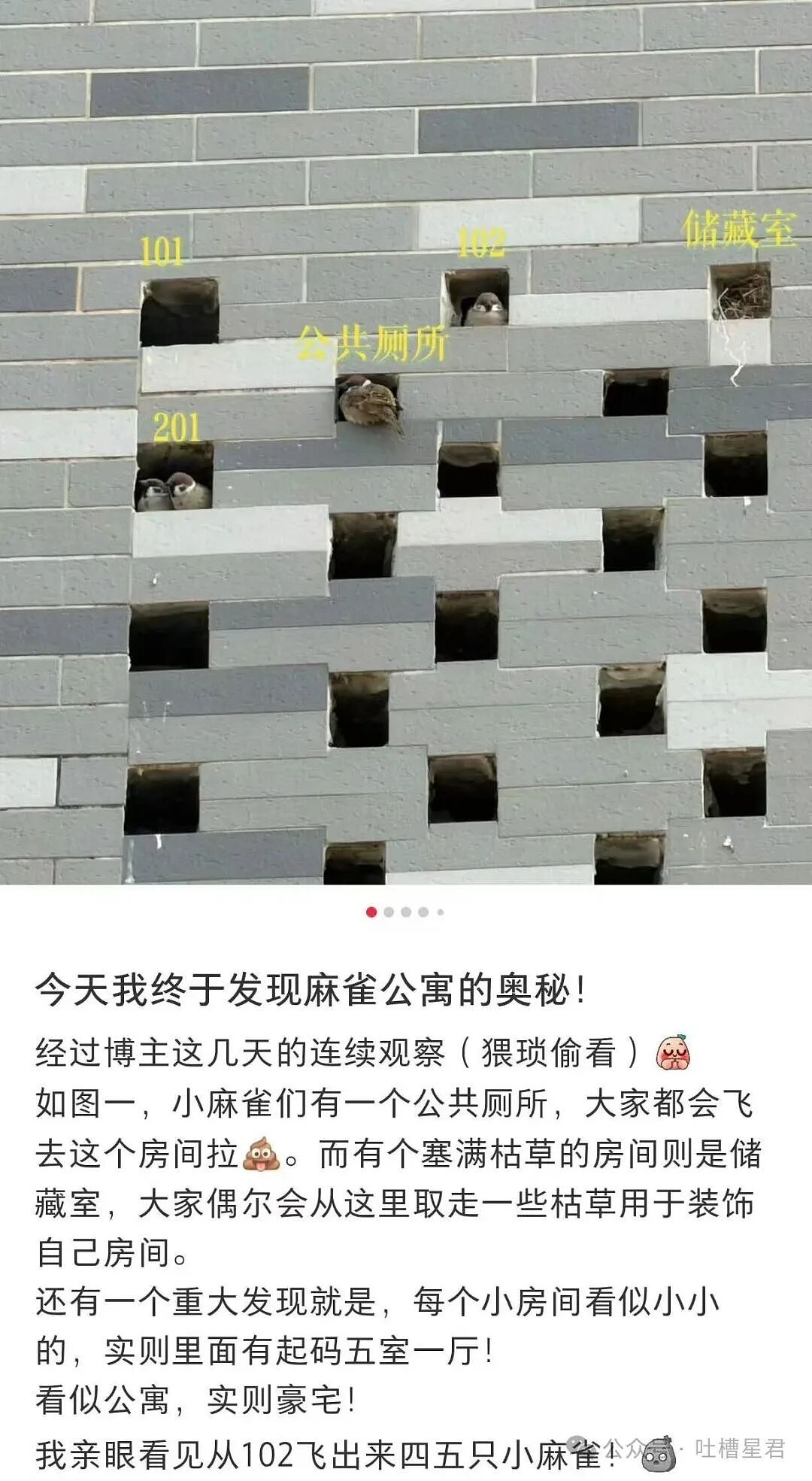 【爆笑】“闲鱼碰到用退休金买谷的老二次元…？”哈哈哈话说我们已经老成这样了吗！（组图） - 27