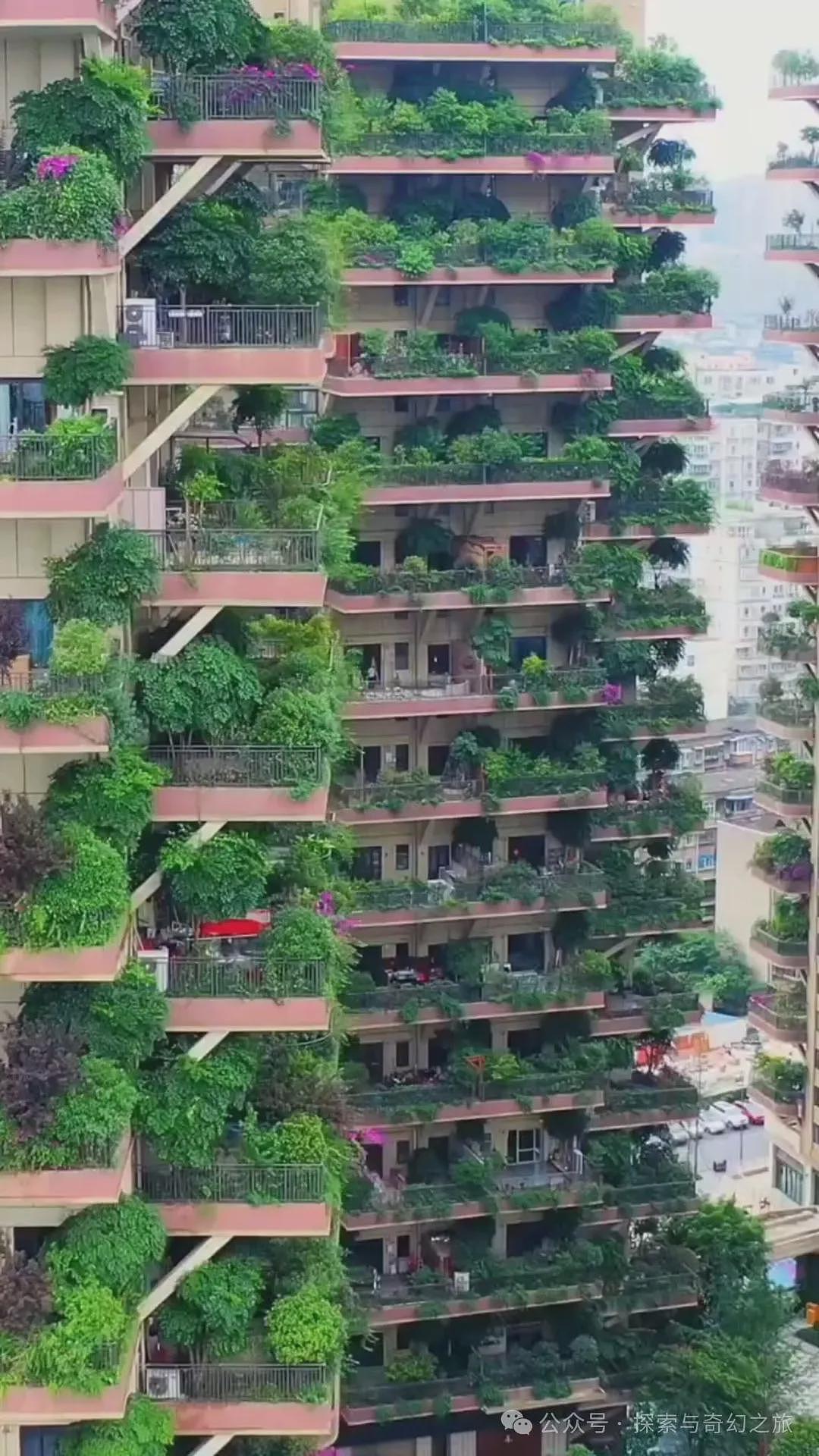 住进成都“空中森林”3年，从狂喜到崩溃（组图） - 1