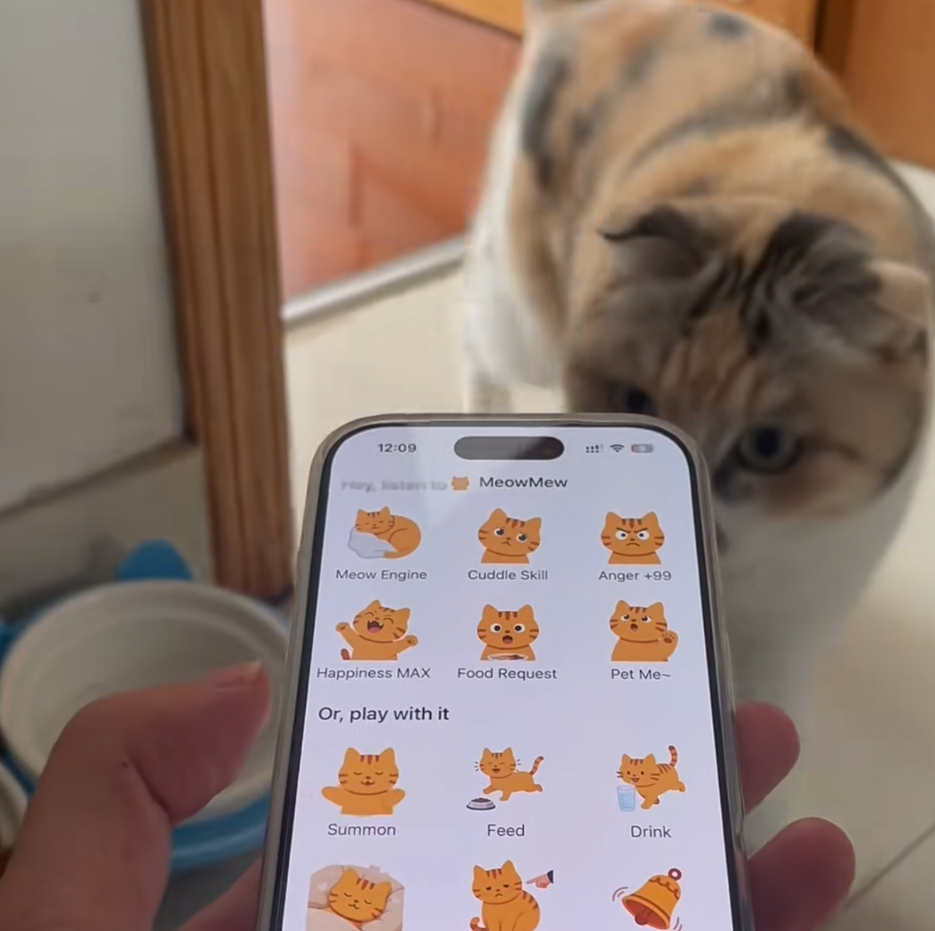 “猫咪召唤器”登顶付费榜,对话开发者:团队仅两人,成本1000多,用户翻了500倍(视频/组图) - 5