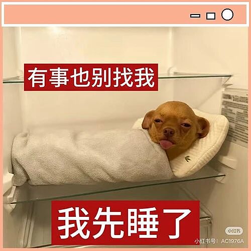 【爆笑】“闲鱼碰到用退休金买谷的老二次元…？”哈哈哈话说我们已经老成这样了吗！（组图） - 2