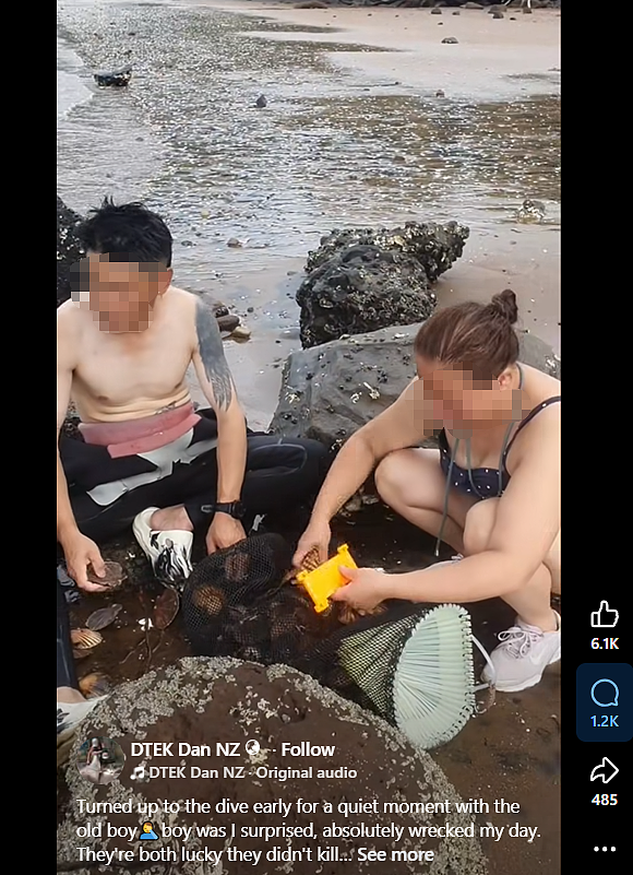 新西兰赶海再爆丑闻!华人潜水违规捞贝被抓现行,逃逸后出车祸,网友:老天都看不下去(组图) - 2
