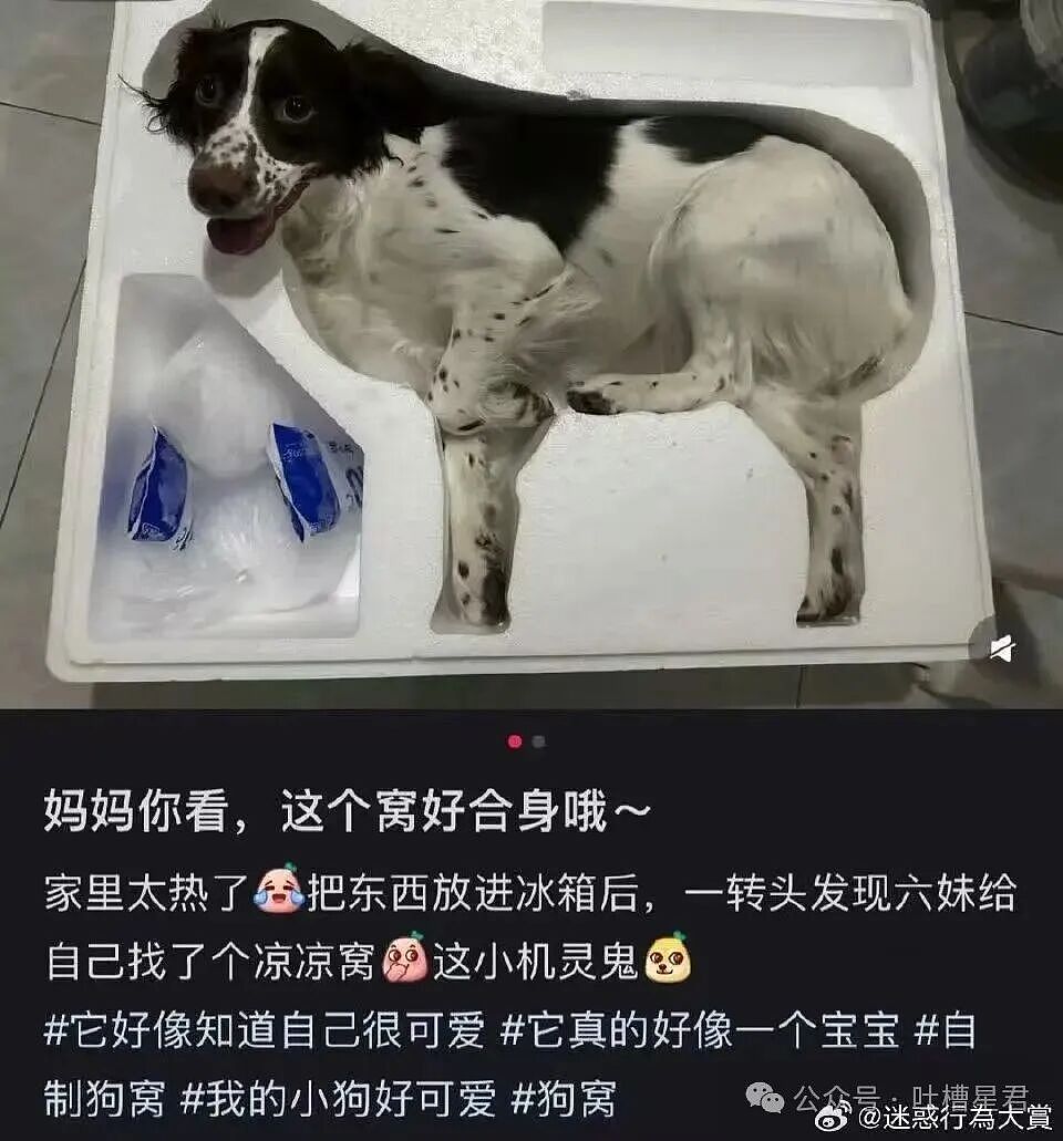 【爆笑】“六万年终奖给妈妈存着女友骂我妈宝男…？”啊啊啊春秋笔法是被你玩明白了！（组图） - 41