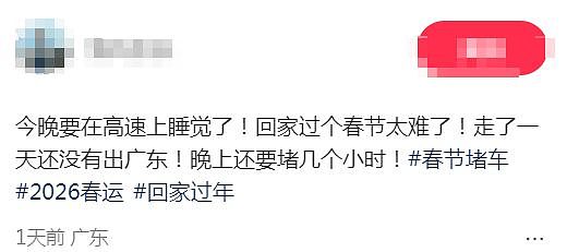 “开了9小时,还没出广东”!深圳第一批返乡人已堵在路上,网友急了(组图) - 7