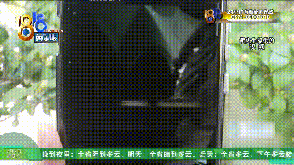 “我至少要堵他一年起步”，小区里的这件事，惊动了110、120（组图） - 1
