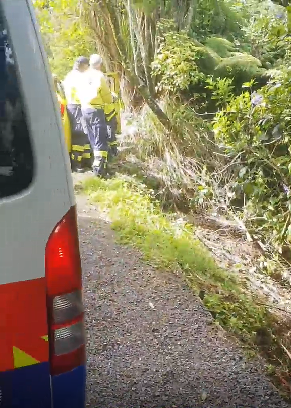 新西兰赶海再爆丑闻!华人潜水违规捞贝被抓现行,逃逸后出车祸,网友:老天都看不下去(组图) - 11