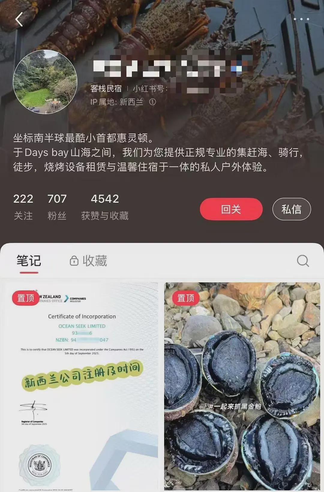 新西兰赶海再爆丑闻!华人潜水违规捞贝被抓现行,逃逸后出车祸,网友:老天都看不下去(组图) - 23