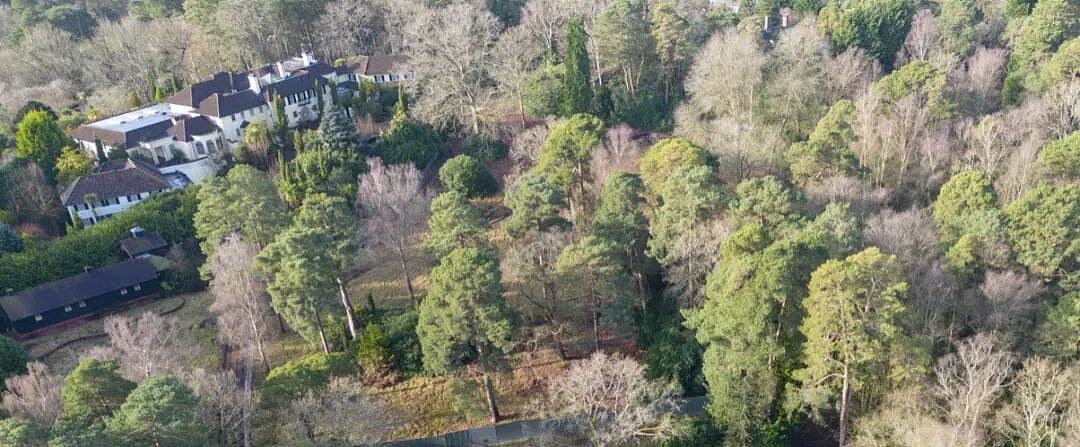 萨里郡富人区空空荡荡，宛如“破败鬼城”，但依然英式倔强——房价高挺（组图） - 5