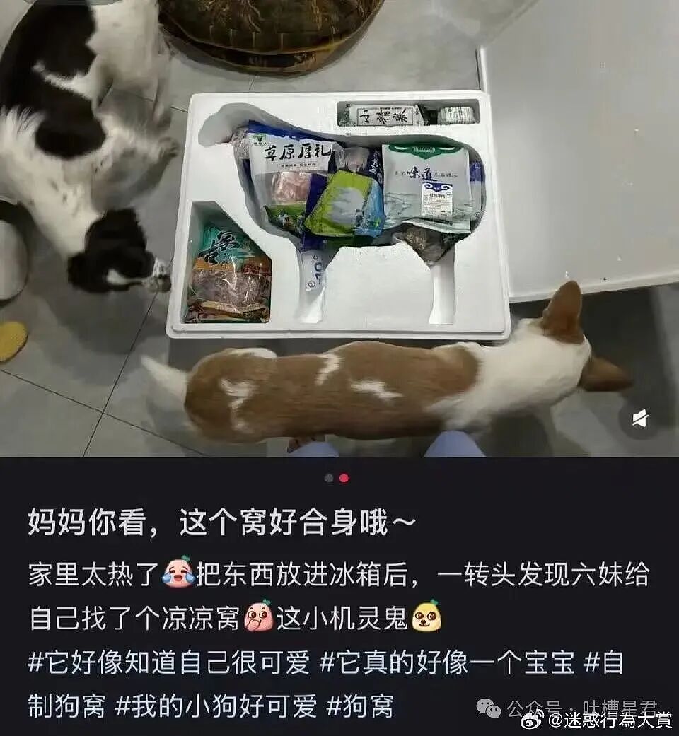 【爆笑】“六万年终奖给妈妈存着女友骂我妈宝男…？”啊啊啊春秋笔法是被你玩明白了！（组图） - 42