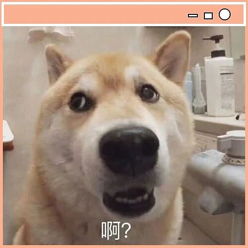 【爆笑】“车里到底能乱成什么样..?”哈哈哈可以坐我车但不能突然坐我车(组图) - 1