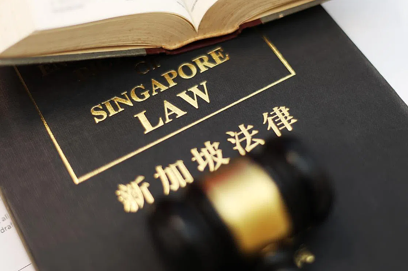 中国大姨护孙打伤男童，在新加坡被判监6周+罚款1.3万！（组图） - 14