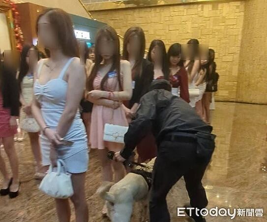 萌犬狂嗅“美腿阵”输了！台中临检14家酒店...细肩带香香画面曝光（组图） - 1