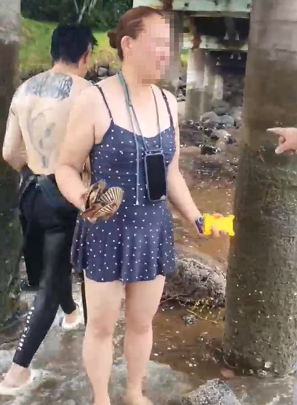 新西兰赶海再爆丑闻!华人潜水违规捞贝被抓现行,逃逸后出车祸,网友:老天都看不下去(组图) - 10
