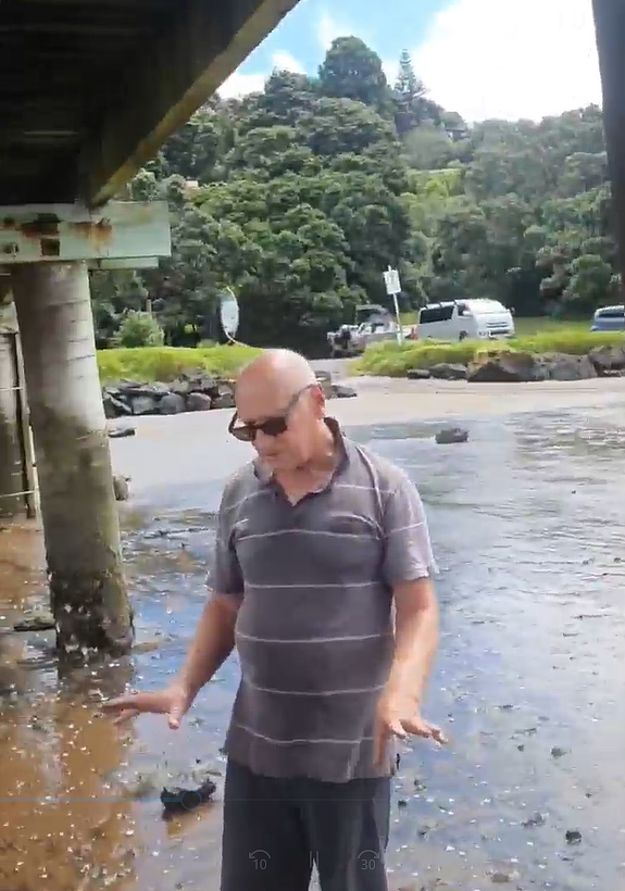 新西兰赶海再爆丑闻!华人潜水违规捞贝被抓现行,逃逸后出车祸,网友:老天都看不下去(组图) - 7
