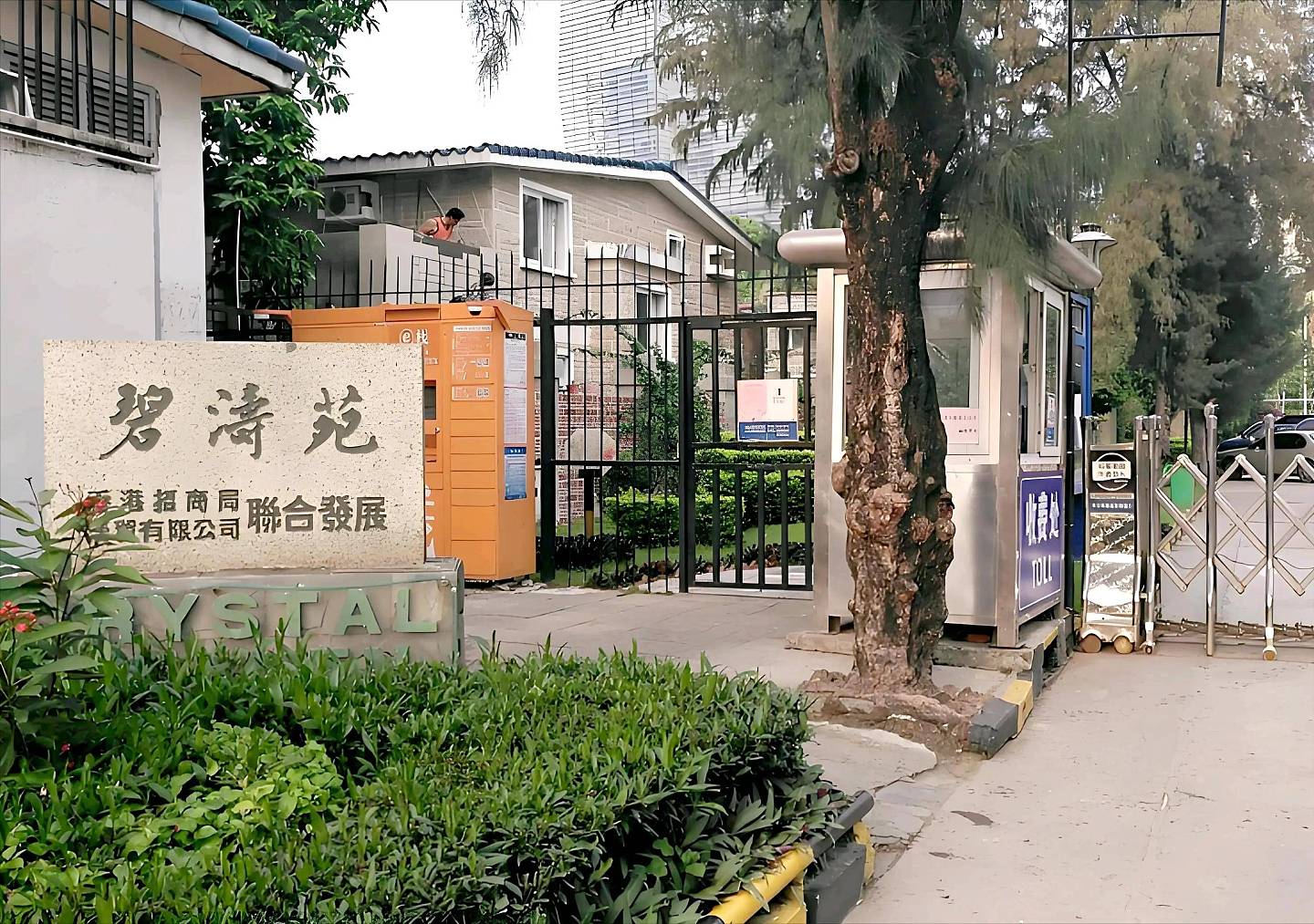 刘晓庆：妹妹蜜月期间，妹夫靖军，男友陈国军都被抓（组图） - 12