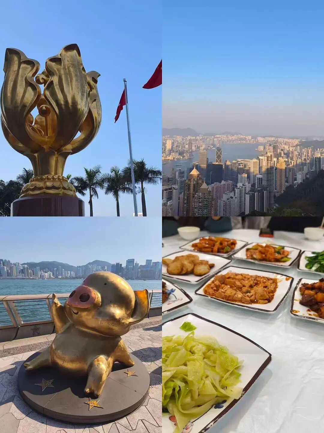 年轻人勇闯“3元香港游”低价团，边壮胆子边“担心回不来”（组图） - 4