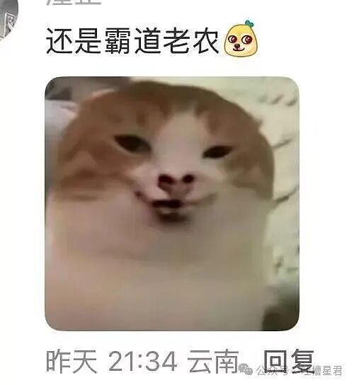 【爆笑】“闺蜜结婚我可以穿婚纱去当伴娘吗…？”啊啊啊人家秋雅结婚你在这又唱又跳！（组图） - 11