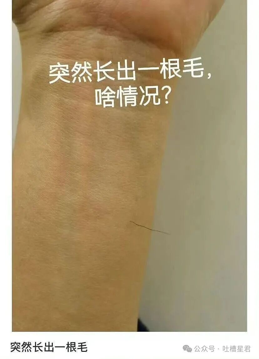 【爆笑】“闺蜜结婚我可以穿婚纱去当伴娘吗…？”啊啊啊人家秋雅结婚你在这又唱又跳！（组图） - 37