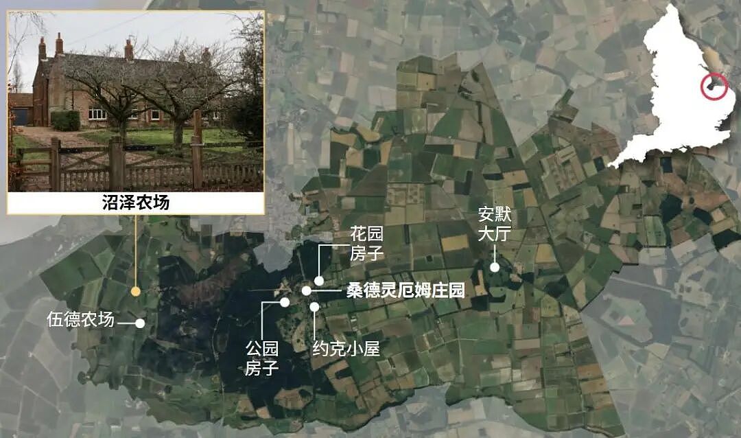 爱泼斯坦案曝英王室安德鲁跪地逗女照!威廉凯特大怒,为自保公开邀请警察彻查(组图) - 7