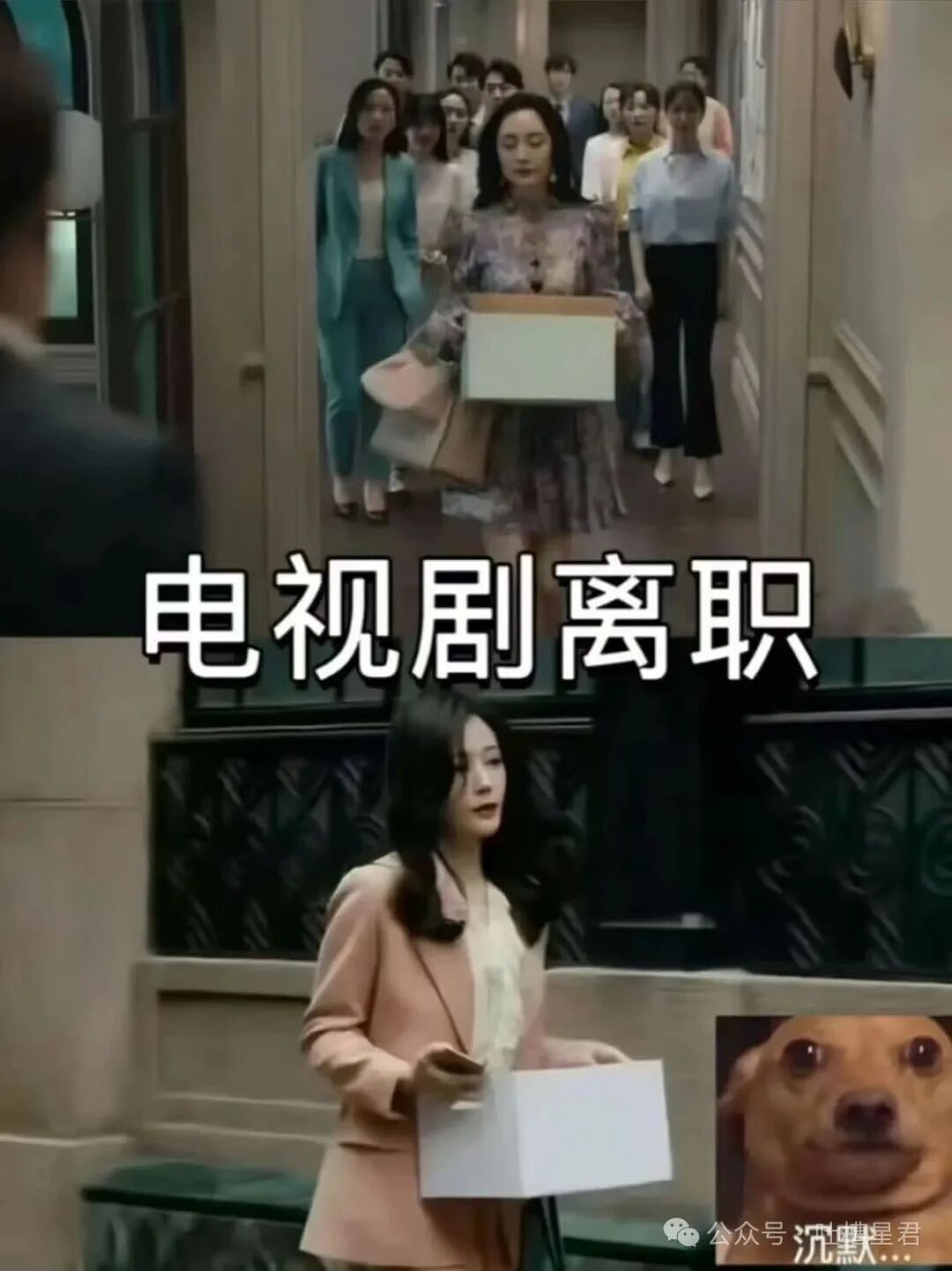 【爆笑】“闺蜜结婚我可以穿婚纱去当伴娘吗…？”啊啊啊人家秋雅结婚你在这又唱又跳！（组图） - 64