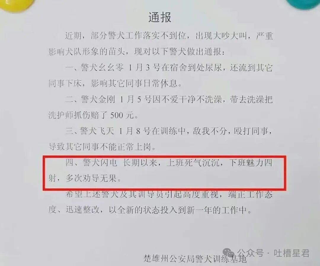 【爆笑】“闺蜜结婚我可以穿婚纱去当伴娘吗…？”啊啊啊人家秋雅结婚你在这又唱又跳！（组图） - 19