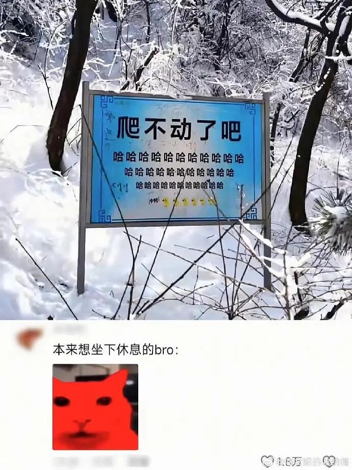 【爆笑】前任半夜突然来我家找我,我没理他结果...?网友笑疯:这场面太刺激!(组图) - 27
