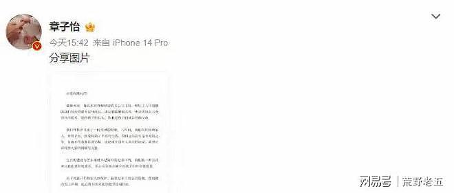汪峰吃惊!46岁章子怡年前6天高调官宣喜讯(组图) - 9