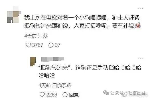 【爆笑】“闺蜜结婚我可以穿婚纱去当伴娘吗…？”啊啊啊人家秋雅结婚你在这又唱又跳！（组图） - 34