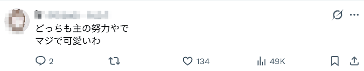 日本一樱花妹晒AI合照：和整形前的自己同框，意外爆火！看哭全网……（组图） - 12