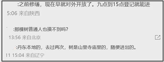 大孤山风波愈演愈烈！超50位明星扎堆前往，名单曝光网友呼吁深挖（组图） - 28