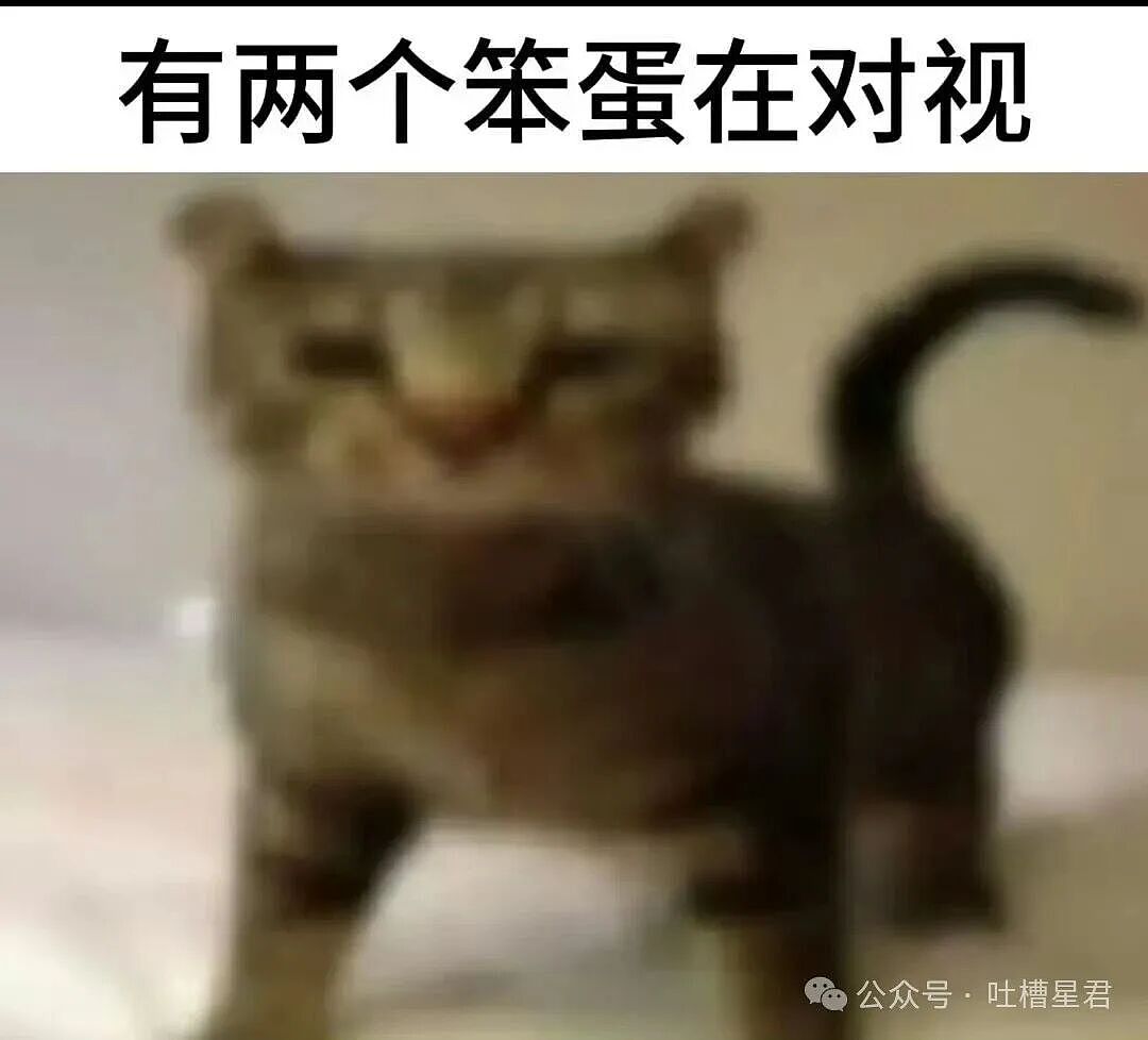 【爆笑】“闺蜜结婚我可以穿婚纱去当伴娘吗…？”啊啊啊人家秋雅结婚你在这又唱又跳！（组图） - 67