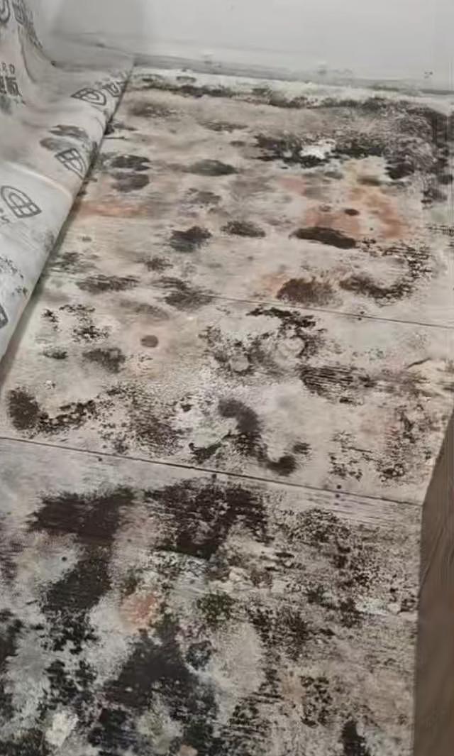 千余业主购精装房，入住后发现霉味刺鼻！专家评审称部分房间霉味明显，开发商被责令整改（组图） - 3