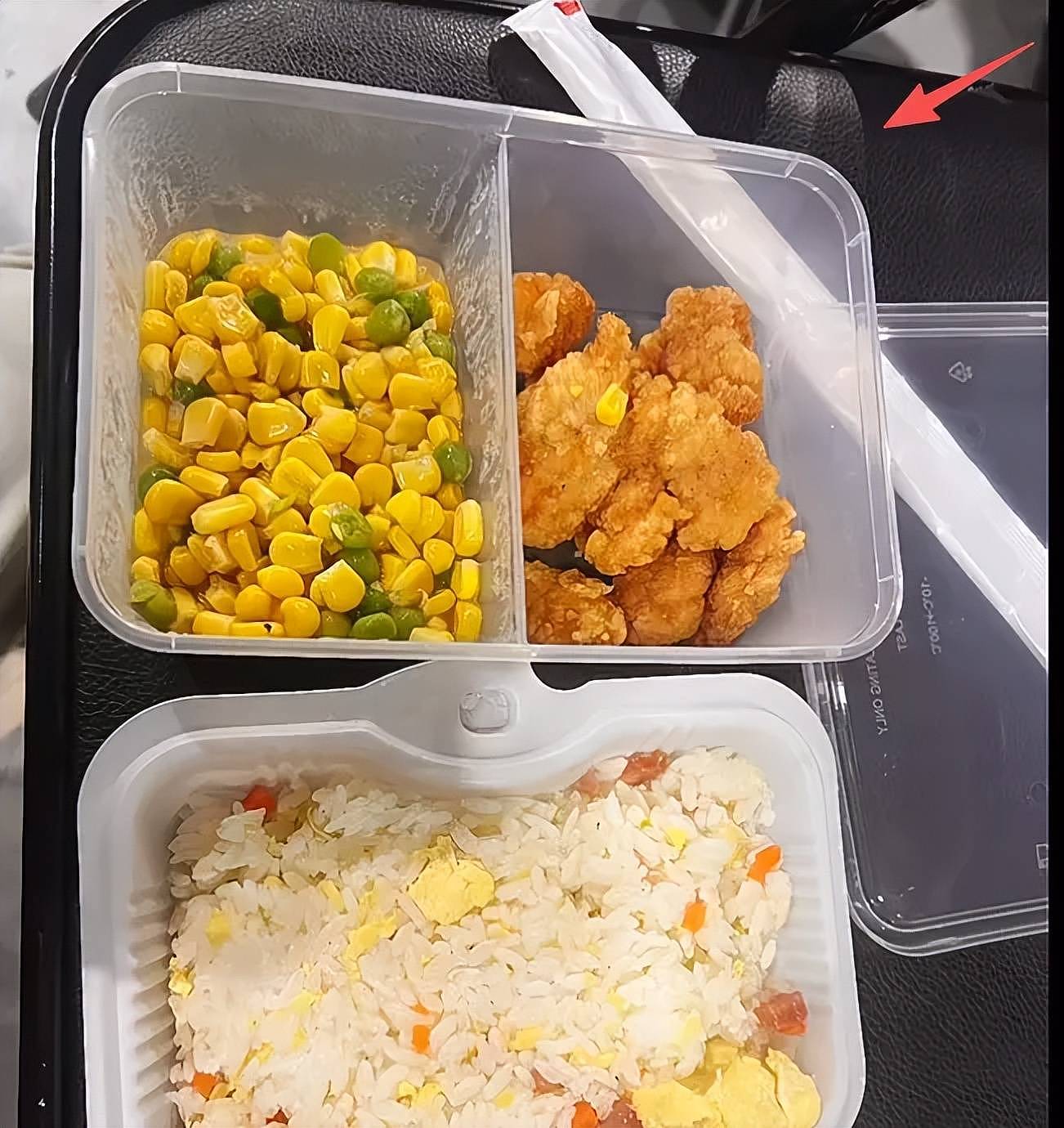 春晚幕后伙食曝光,明星彩排也吃盒饭....(组图) - 13