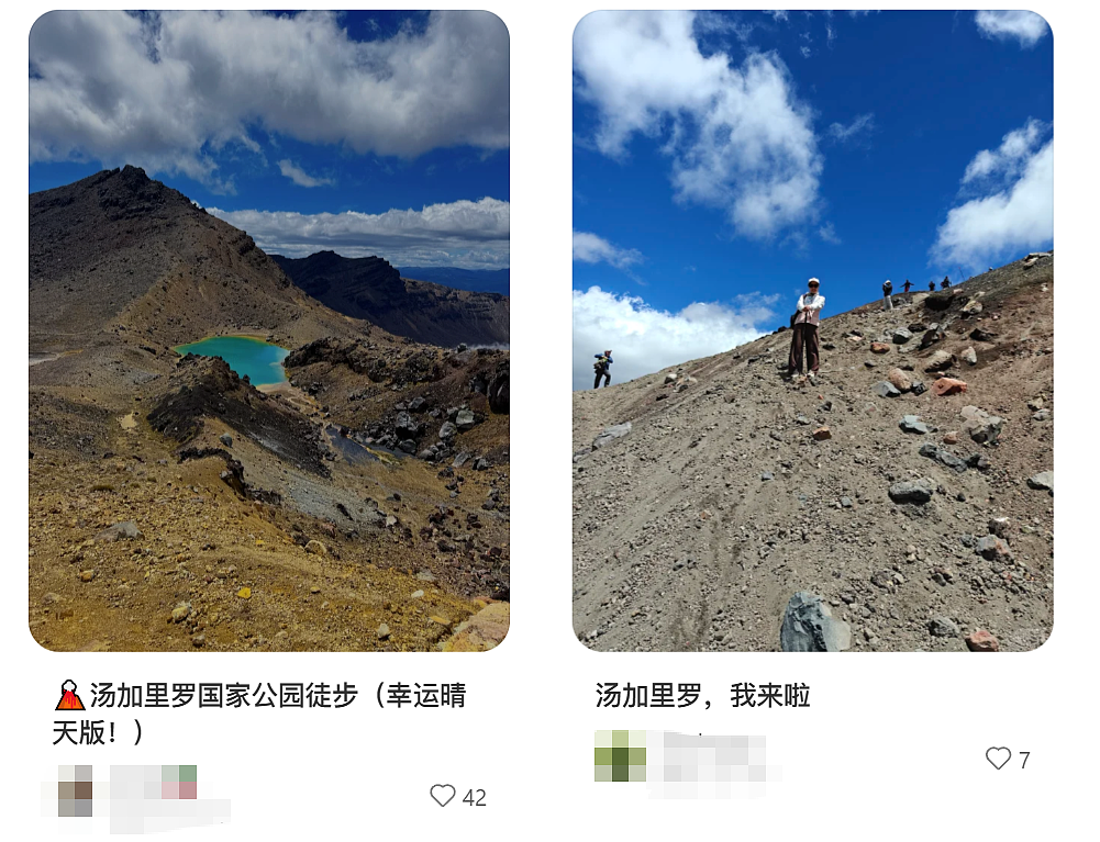 “不顾危险拉人上山”!新西兰热门景点旅游公司被查,华人游客注意(组图) - 4