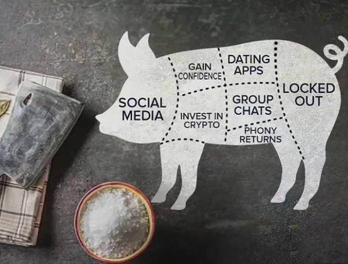 海外华人女性注意！你早就是杀猪盘的“重点猎物”…（组图） - 6
