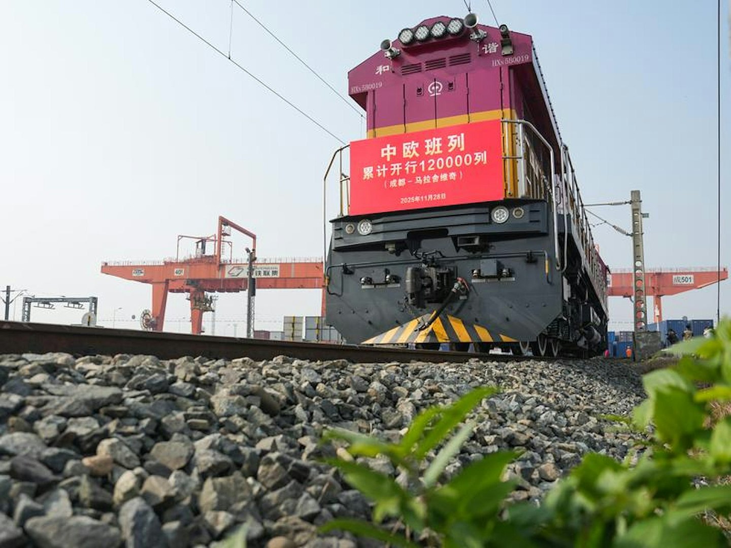 陆媒:欧盟若加征30%关税,中国可对法国葡萄酒发起双反调查(组图) - 2