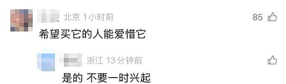 一夜爆火！八千元就能买匹迷你小马？马主：隐性开销大得吓死人……（组图） - 5