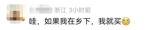 一夜爆火！八千元就能买匹迷你小马？马主：隐性开销大得吓死人……（组图） - 3
