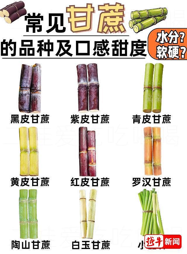 百果园一根甘蔗87元，市民吐槽太贵，店员：买之前讲过的，黄金手撕甘蔗按斤卖（组图） - 10