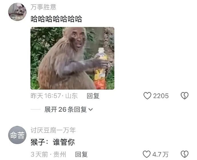 【爆笑】相亲遇到二米几的男生？这操作属实没想到！网友笑疯：这种做朋友也影响智商（组图） - 44