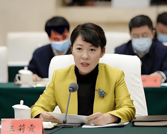 把国企当成“私人领地”,广西玉柴机器集团原董事长晏平被开除党籍(组图) - 3