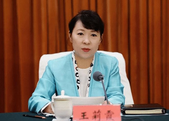 把国企当成“私人领地”,广西玉柴机器集团原董事长晏平被开除党籍(组图) - 2