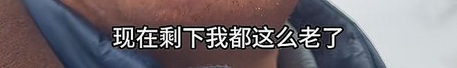 73岁李立群河南上坟:往上数三代,谁的根没扎在农村?(组图) - 12