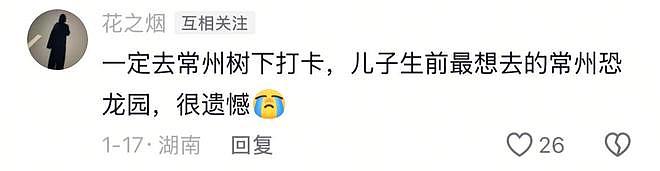 72岁母亲替已故儿女看乐山大佛,网友暖心留言(组图) - 10