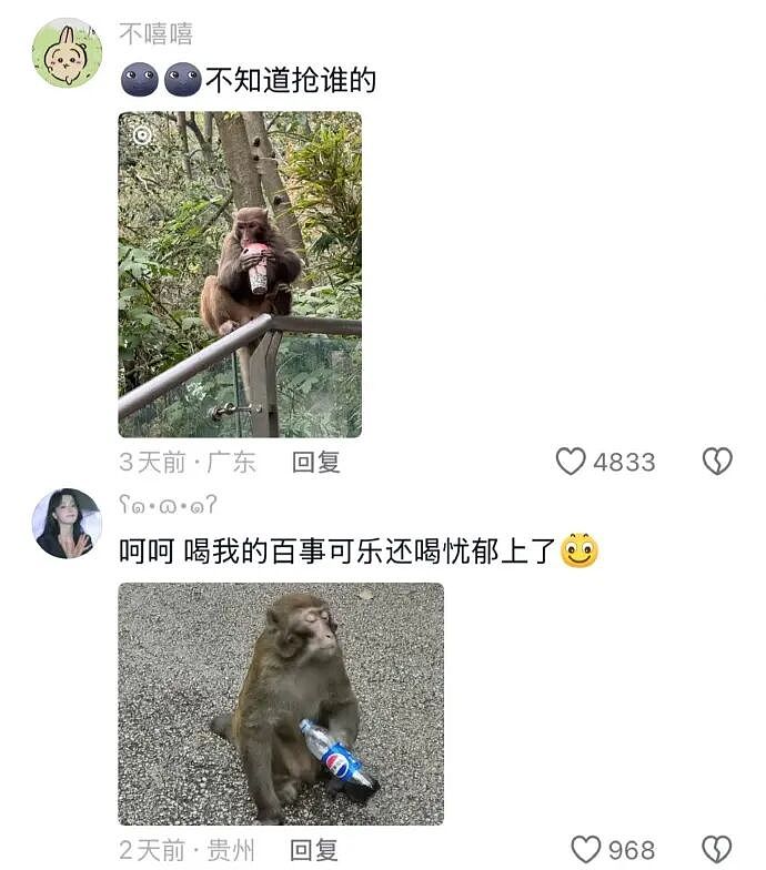 【爆笑】相亲遇到二米几的男生？这操作属实没想到！网友笑疯：这种做朋友也影响智商（组图） - 45