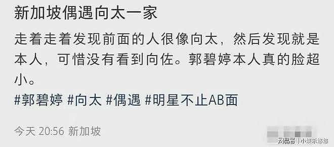 向太向华强郭碧婷在新加坡被偶遇,向太不像阔太,郭碧婷成黄脸婆(组图) - 3