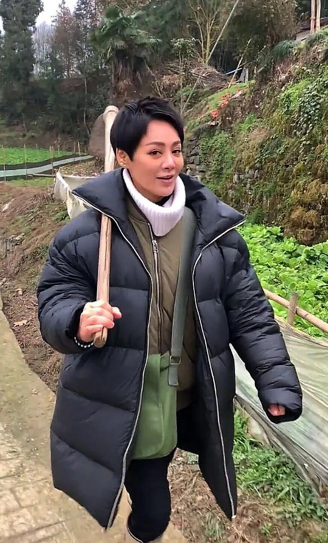 明星回村，全员“出厂设置”：任敏拔白菜，程莉莎赶大集，太真实（组图） - 16