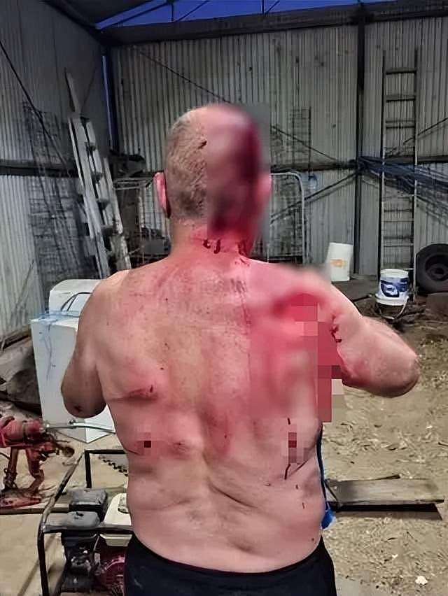 澳洲男子为救狗与袋鼠打架,被按地上暴揍,浑身是血万幸捡回一命(组图) - 3
